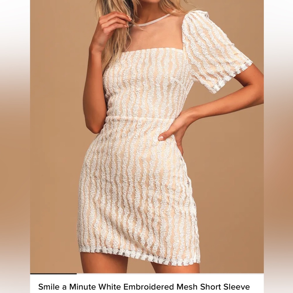 Lulus White Embroidered Mesh Mini Dress | Nude Lined | NWT | Size S